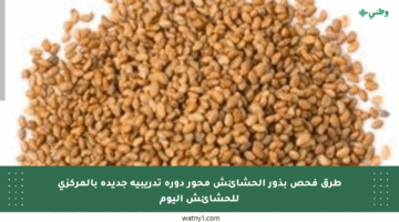 طرق فحص بذور الحشائش محور دورة تدريبية جديدة بالمركزى للحشائش اليوم